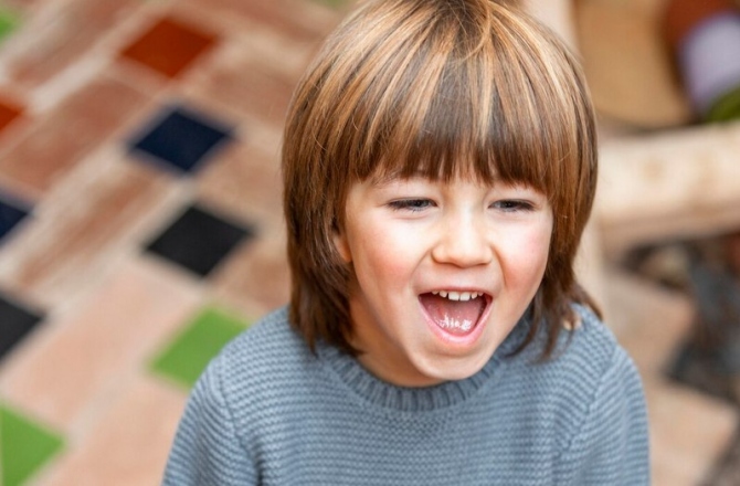 Подробнее о статье Способы развития эмоционального интеллекта – Развитие ребенка